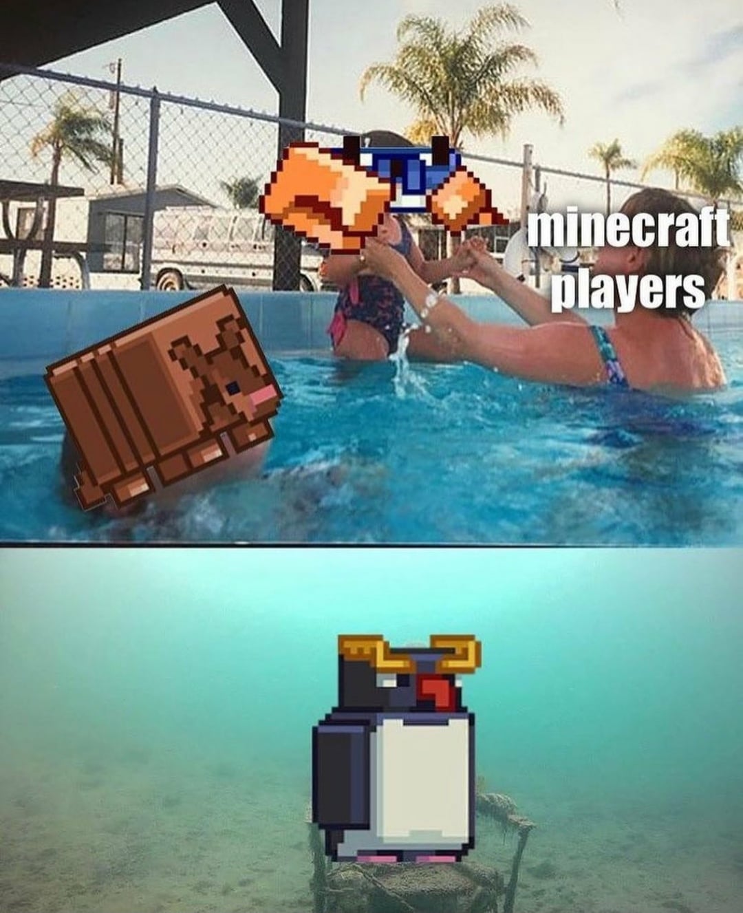 Minecraft Memes - Actually