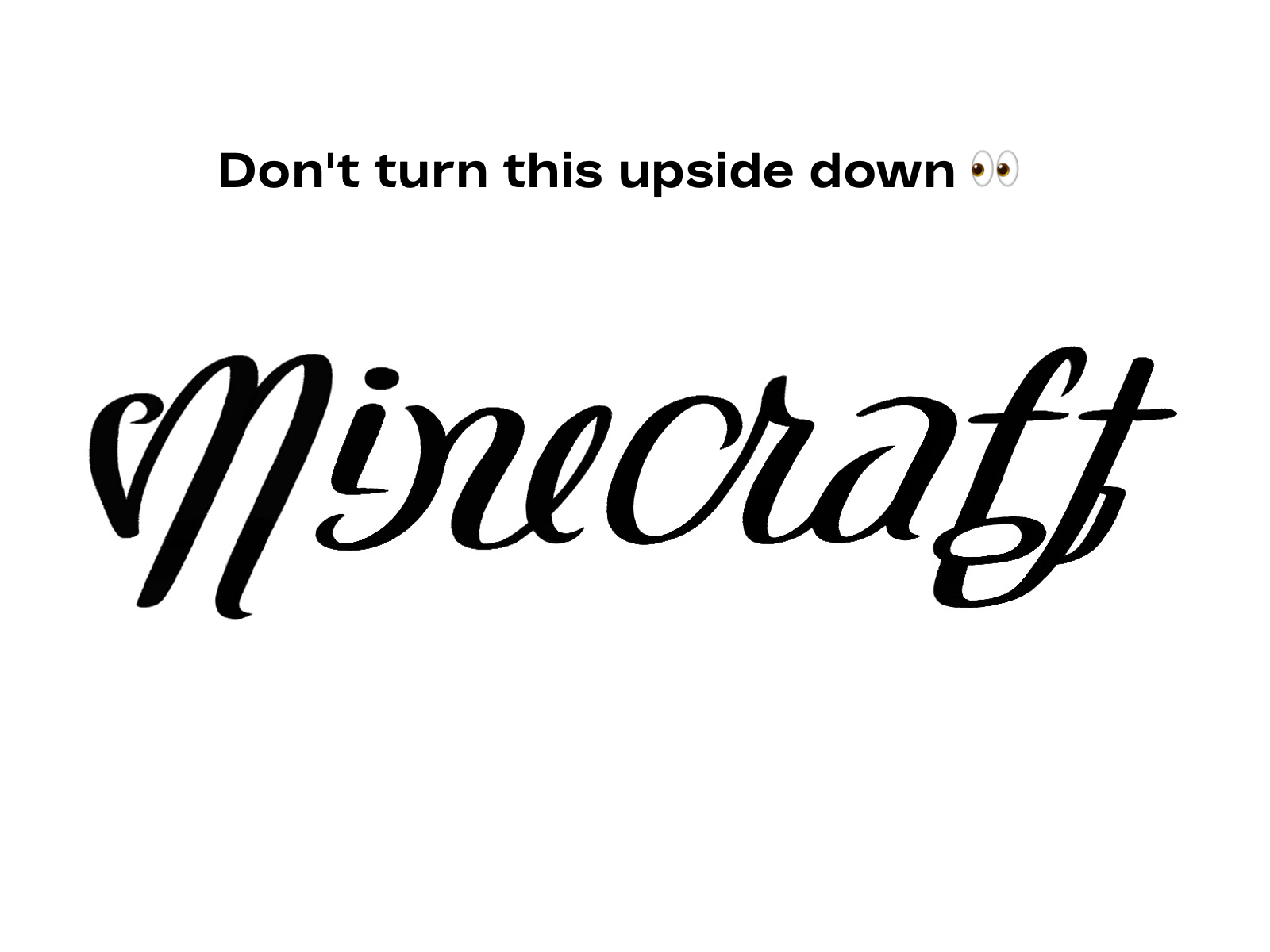 Minecraft Memes - Don't turn this upside down 👀
