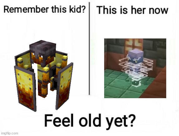 Minecraft Memes - Erm