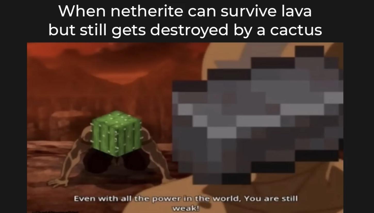 Minecraft Memes - Holy cactus