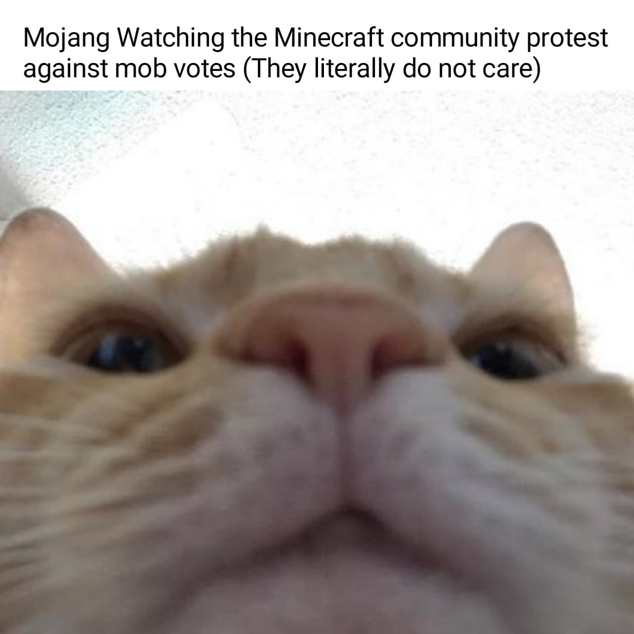 Minecraft Memes - I think they should continue the mob votes because War is cool as fuck