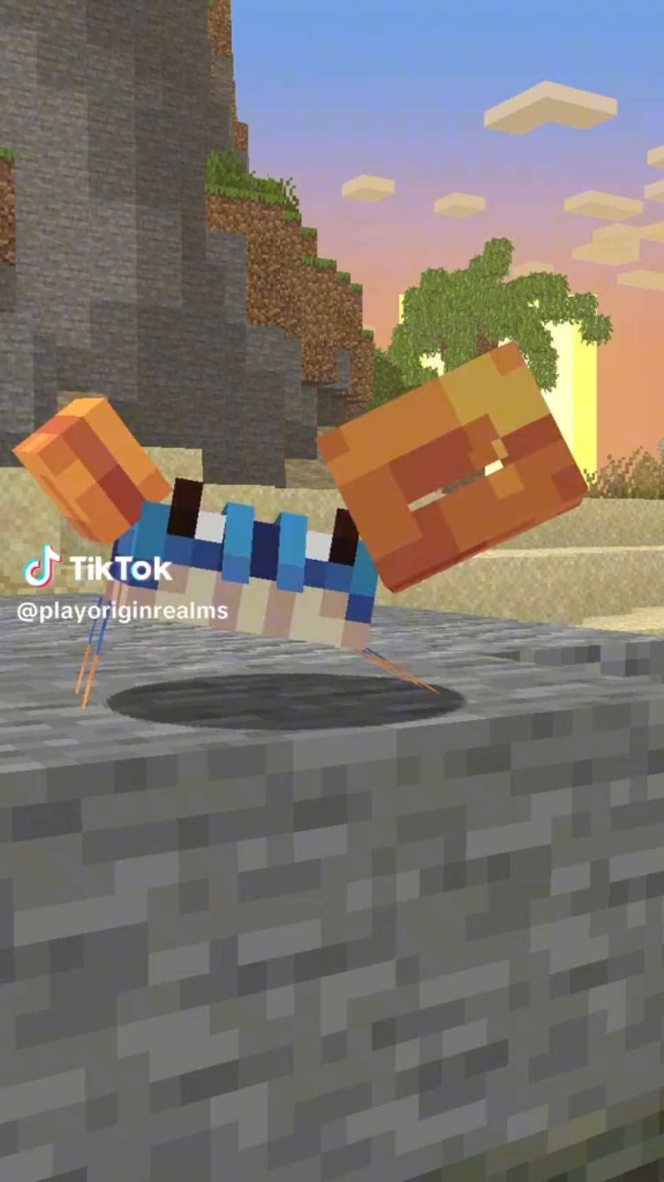 Minecraft Memes - It had to be done
