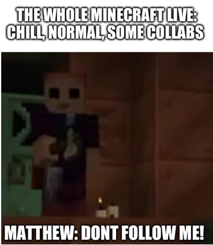 Minecraft Memes - Matthew doesn’t want to be followed