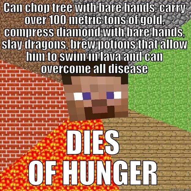 Minecraft Memes - Me when i die of hunger in minecraft