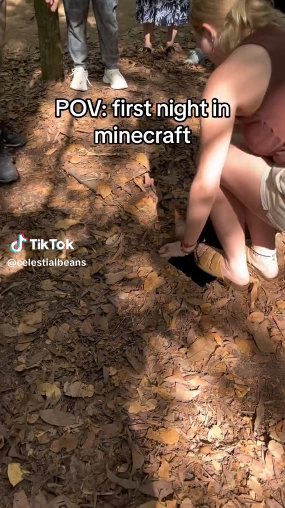 Minecraft Memes - Me 🗿