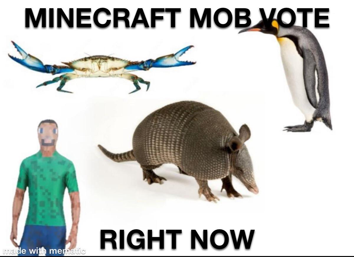Minecraft Memes - Mob vote fr