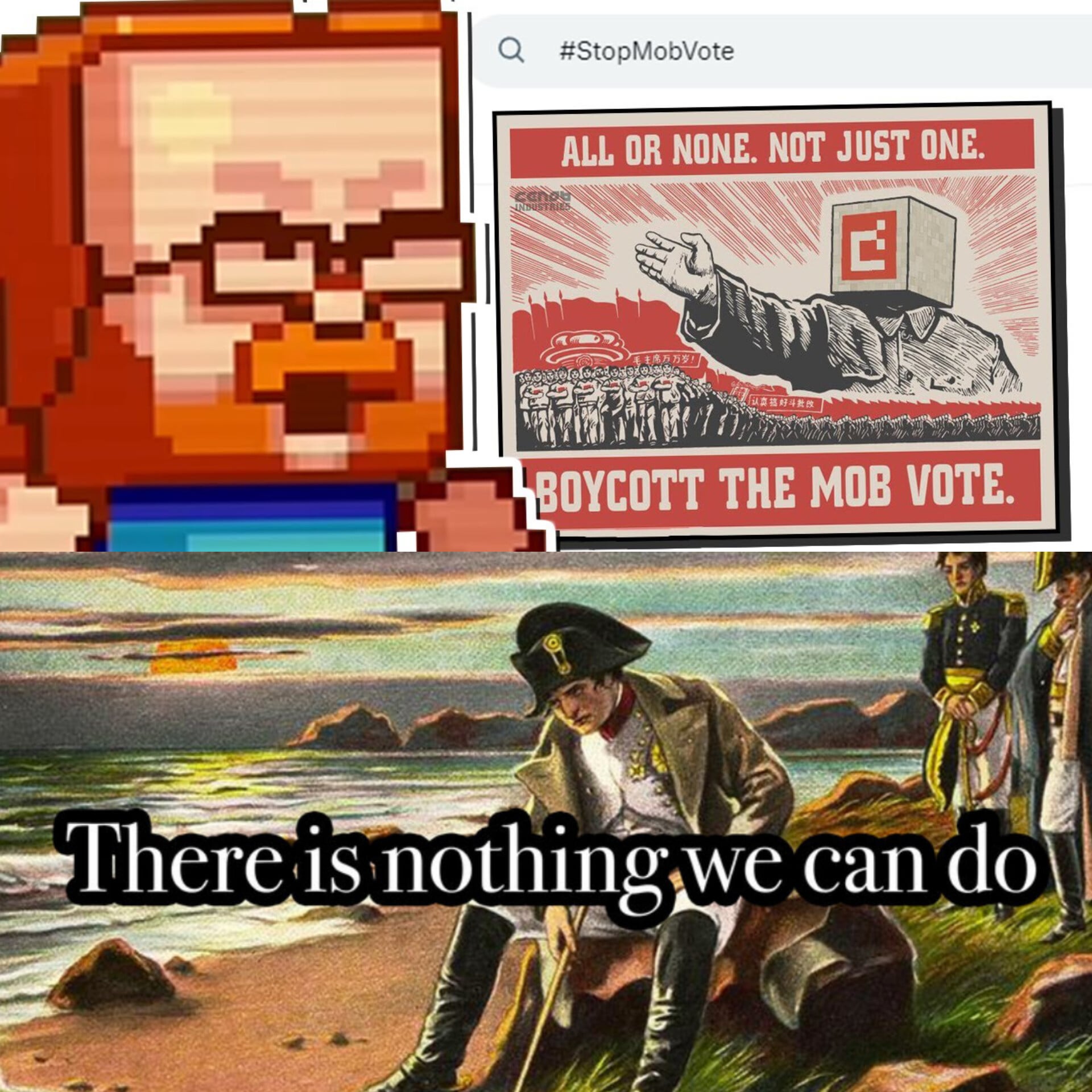 Minecraft Memes - Mob vote in flames