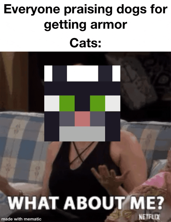 Minecraft Memes - Now that the Armadillo won:
