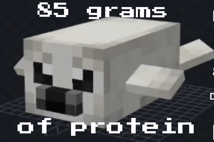 Minecraft Memes - Screw the Crab, Armadillo and Penguin. I want SEALS!