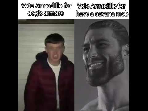 Minecraft Memes - Stop voting Armadillo for dog's armors