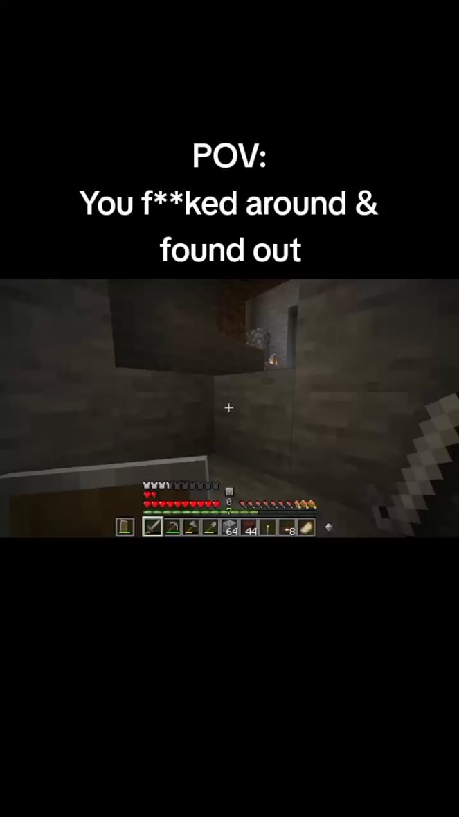 Minecraft Memes - We all have this 1 friend in every game