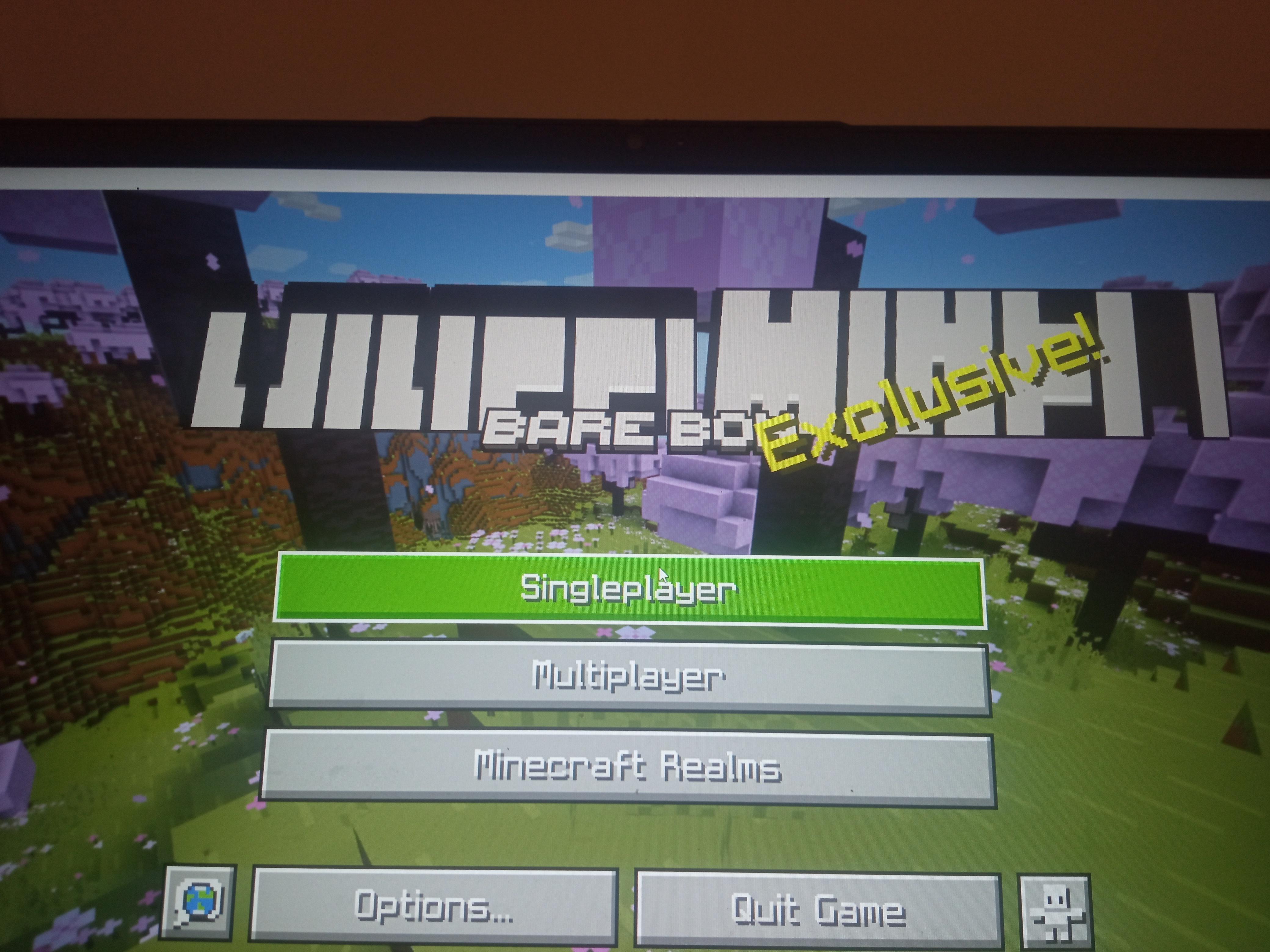 Minecraft Memes - What kind of language is this?