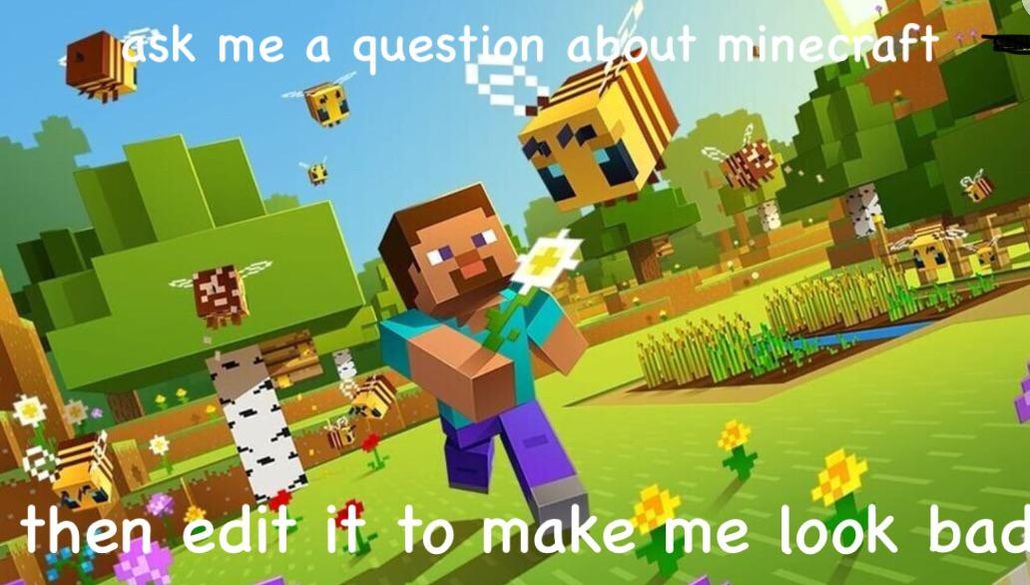 Minecraft Memes - ask up boys
