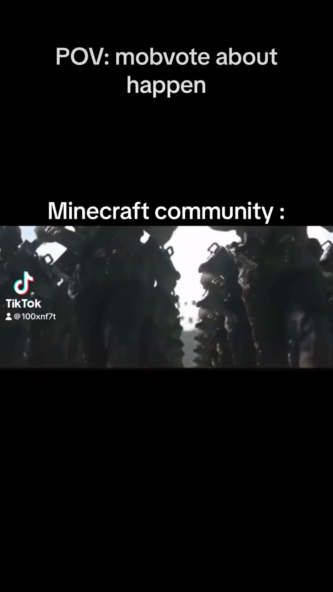 Minecraft Memes - ban the vote