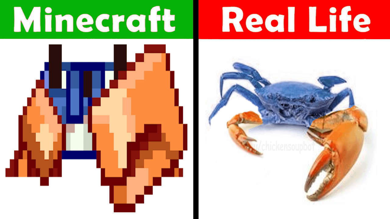 Minecraft Memes - crab irl 🔥🔥🔥🔥