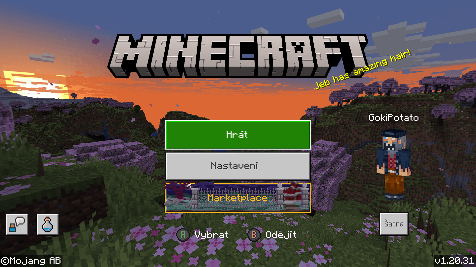 Minecraft Memes - splash text is right as usual