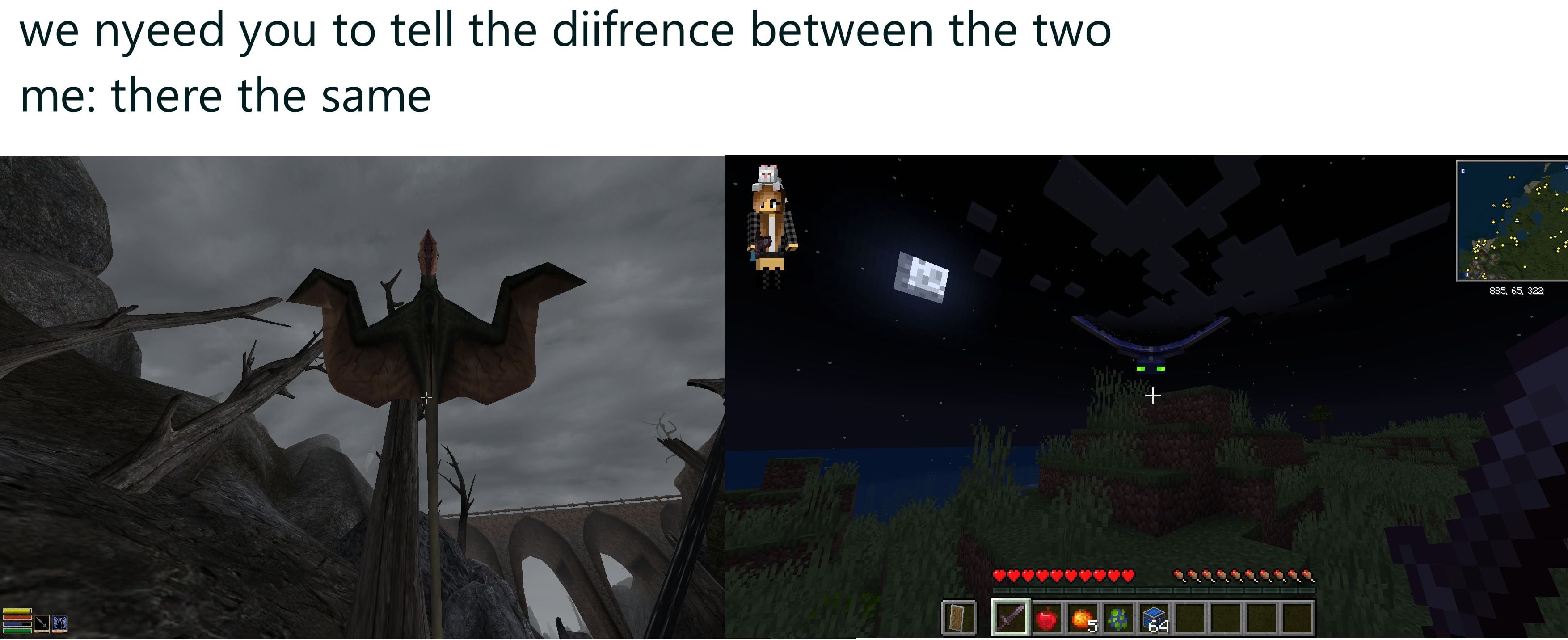 Minecraft Memes - there both annoying