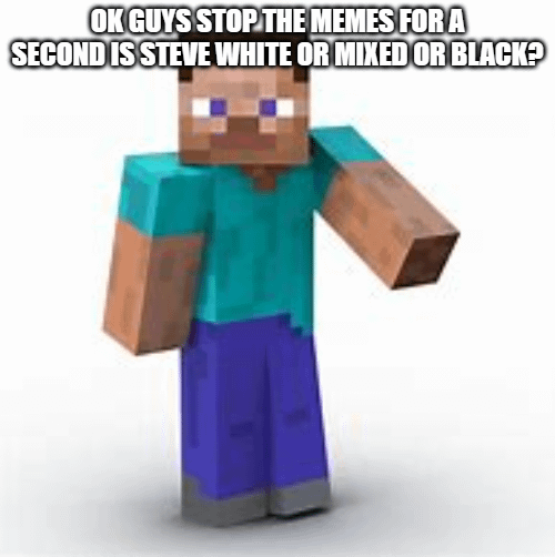 Minecraft Memes - what is Steves skin color?