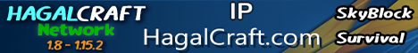 HagalCraft Network