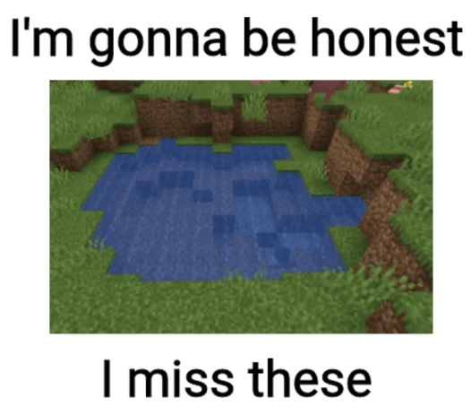 Minecraft Memes - "Creepers: anyone else agree?"