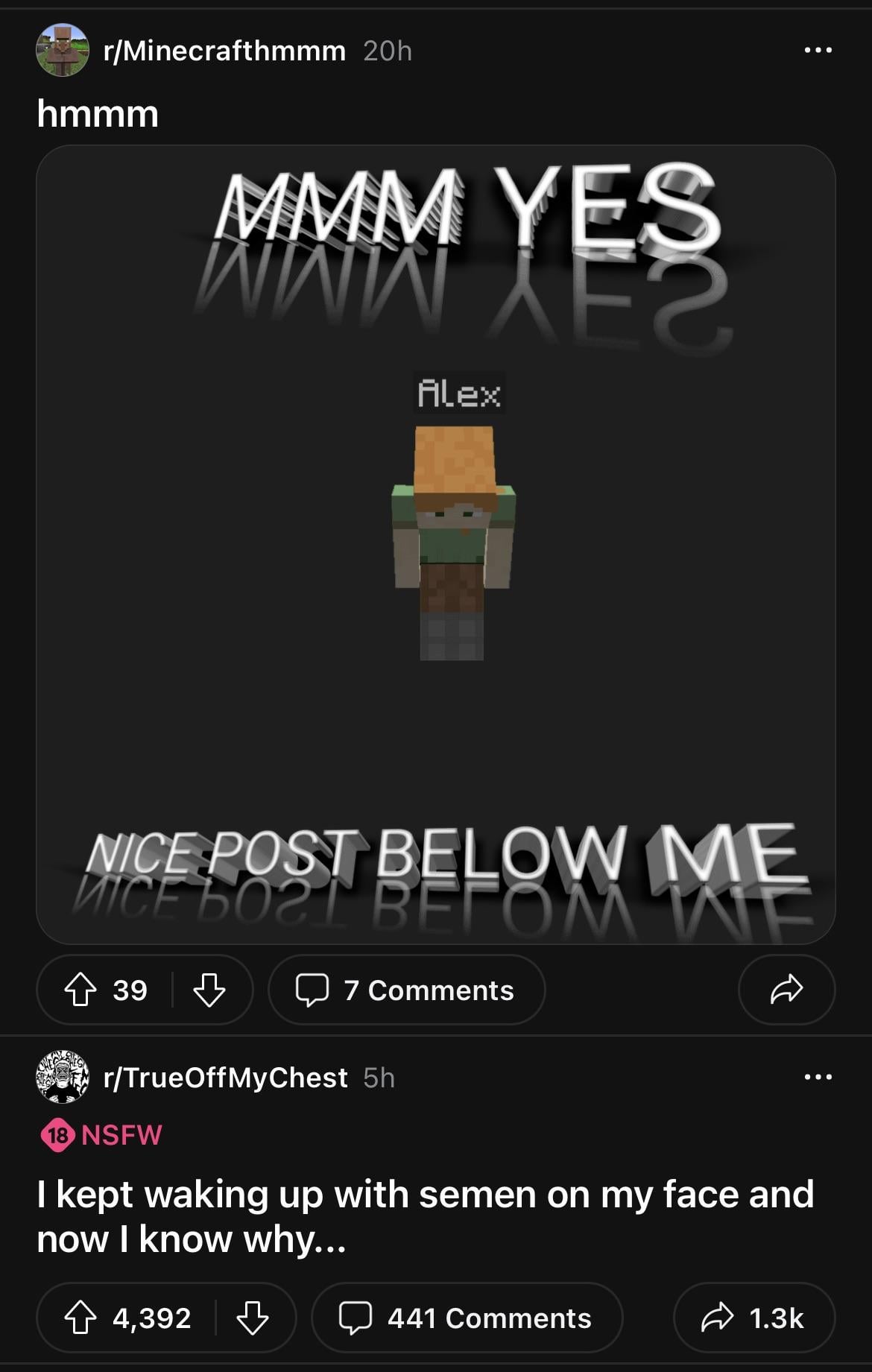Minecraft Memes - "Deadly bro vibes 💀"