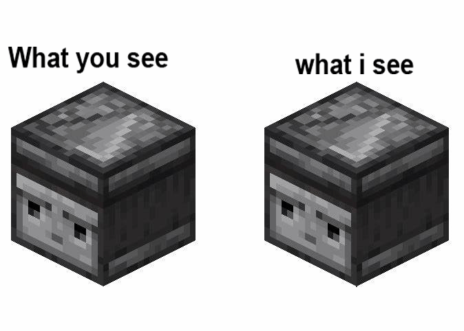 Minecraft Memes - "Did you guys notice that?!"