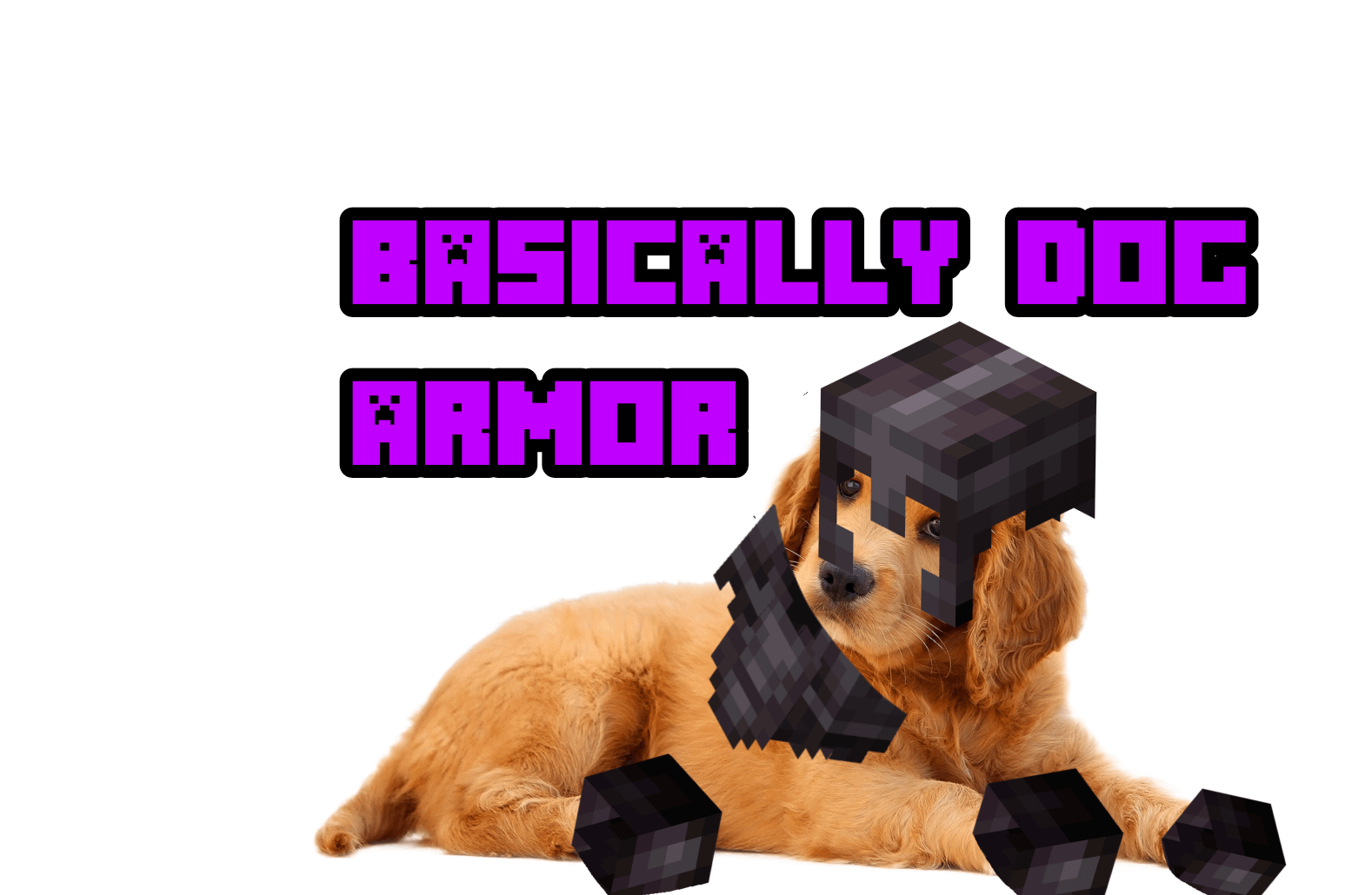 Minecraft Memes - "Dog armor: basically a joke"