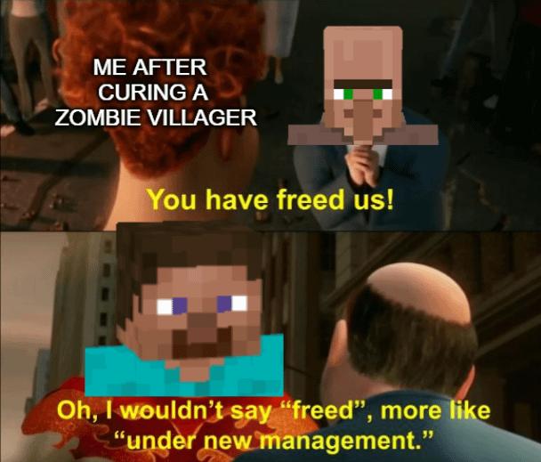 Minecraft Memes - "Down to the basement"