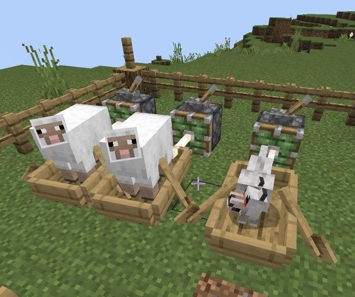 Minecraft Memes - "Dumb wolf won't murder sheep?"