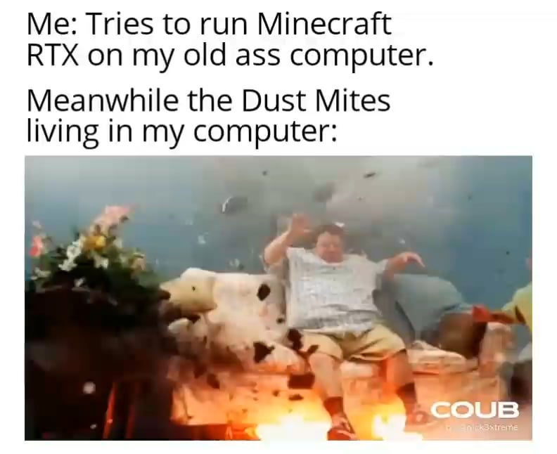 Minecraft Memes - "Dust Mites Didn't Stand a Chance"