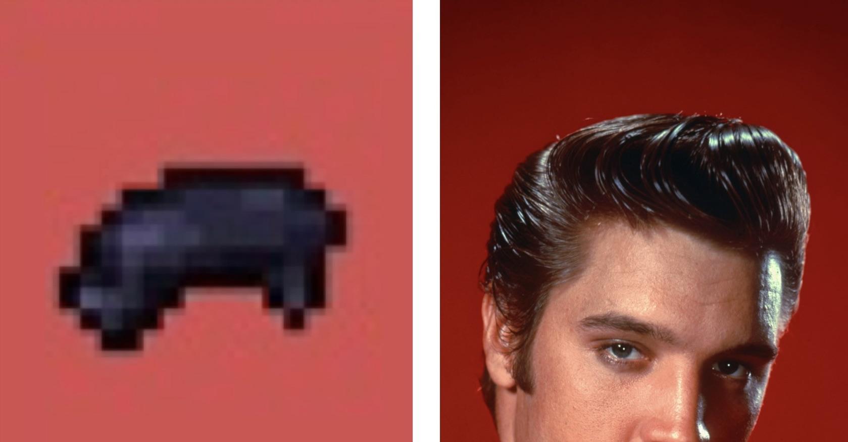 Minecraft Memes - "Elvis' haircut or black dye, I will die on this hill"