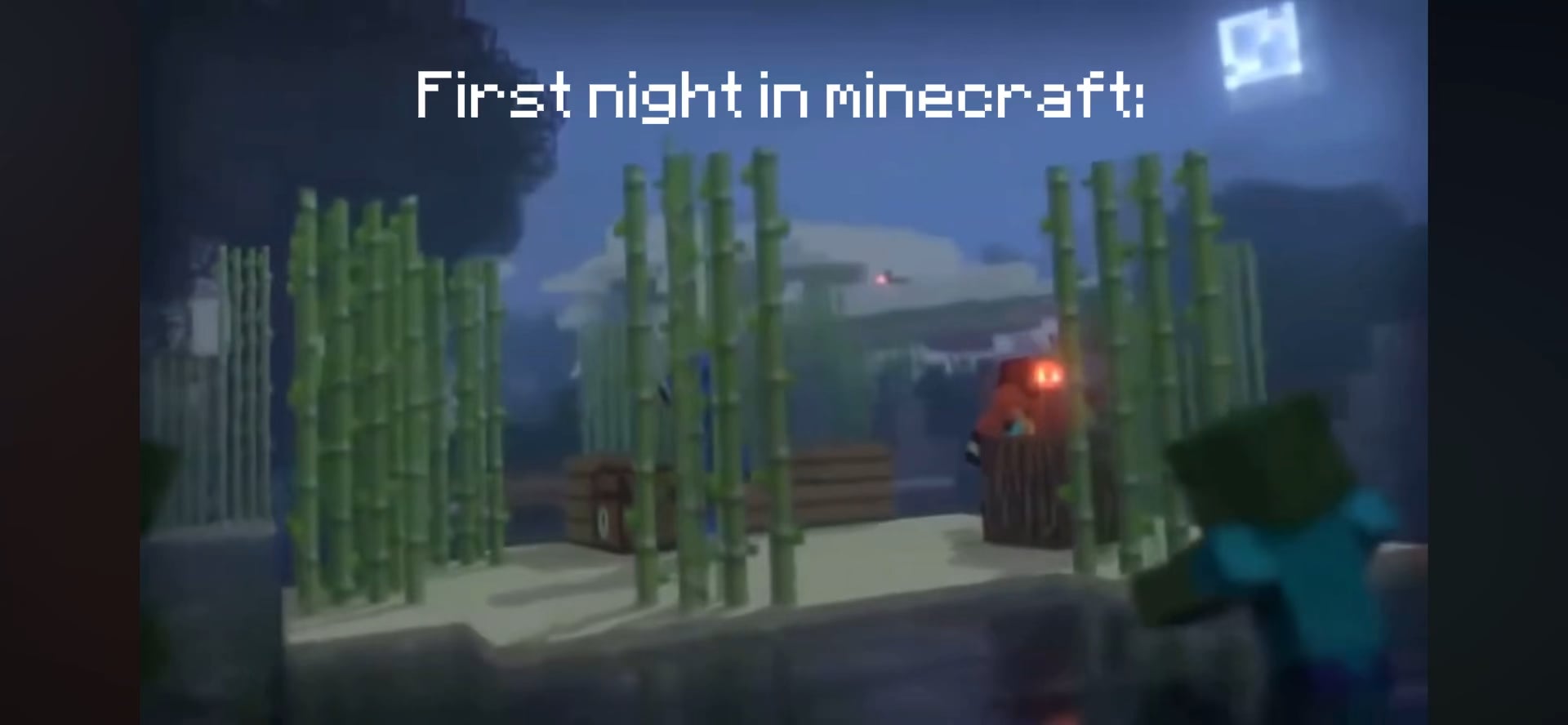 Minecraft Memes - "First night in Minecraft: Panic Mode"