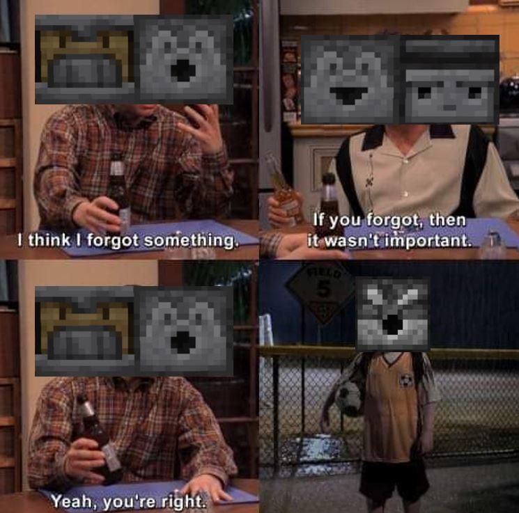 Minecraft Memes - "Flawless Beta"