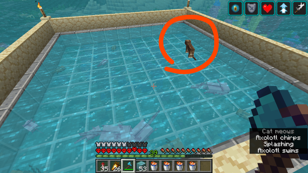 Minecraft Memes - "Help! My brown axolotl looks weird. Is he dying?"