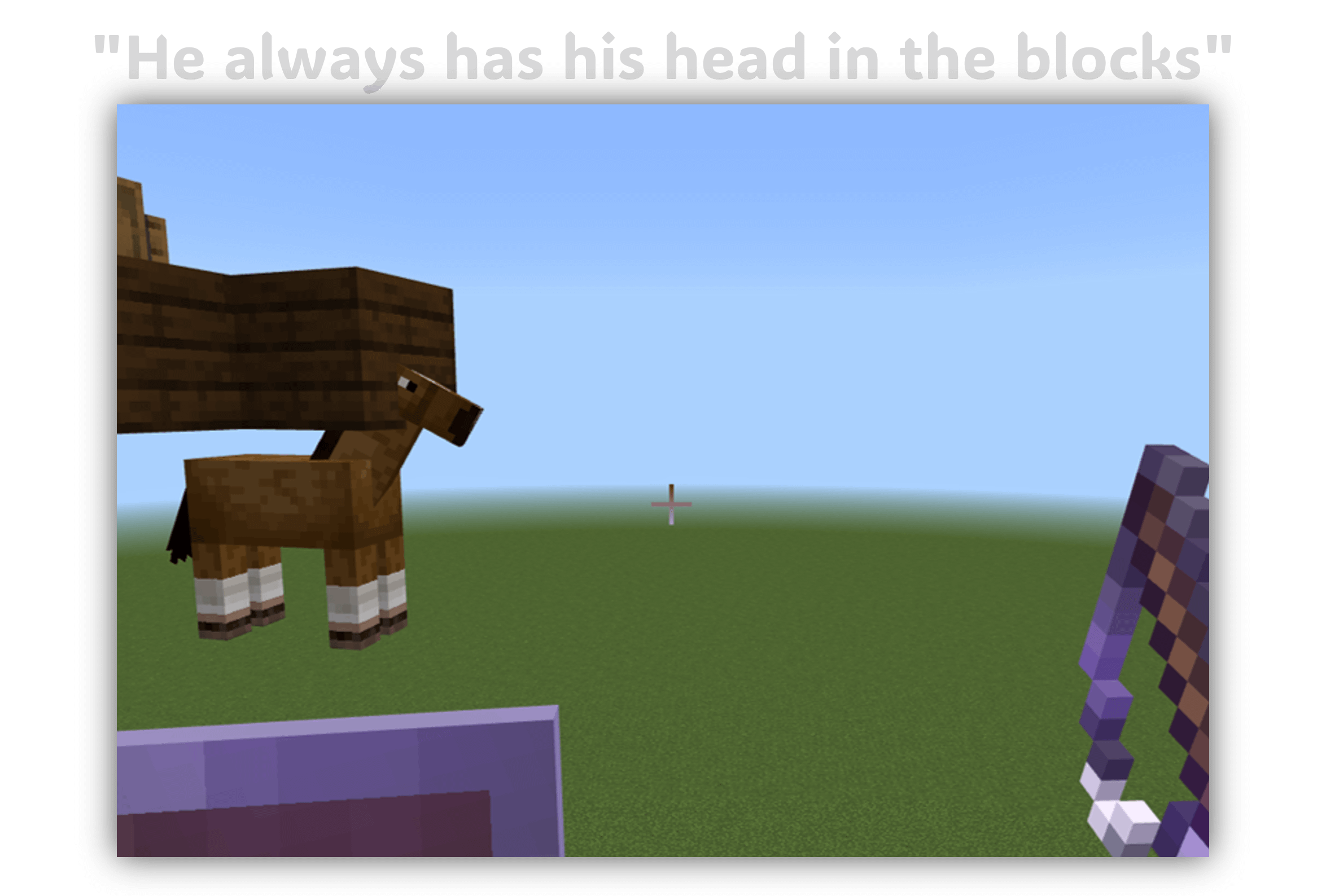 Minecraft Memes - "Minecraft player is a sky lover"