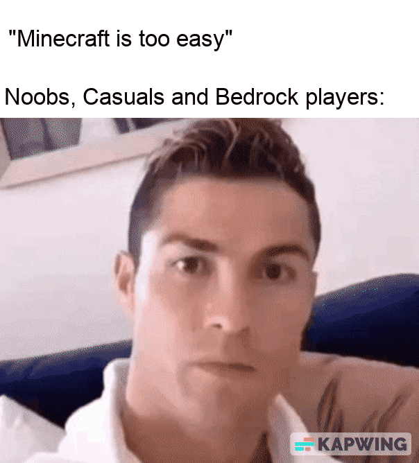 Minecraft Memes - Mods and Packs Rule!