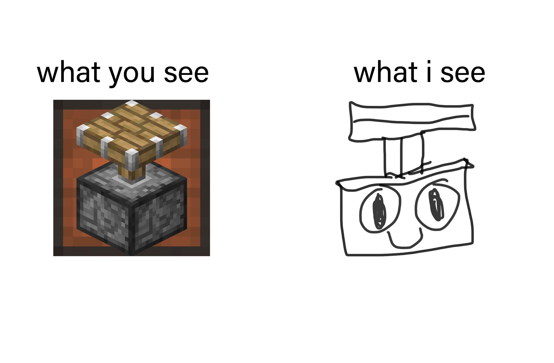 Minecraft Memes - "Reality vs My Minecraft"