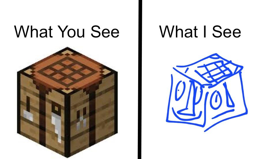 Minecraft Memes - "Reality vs My World"