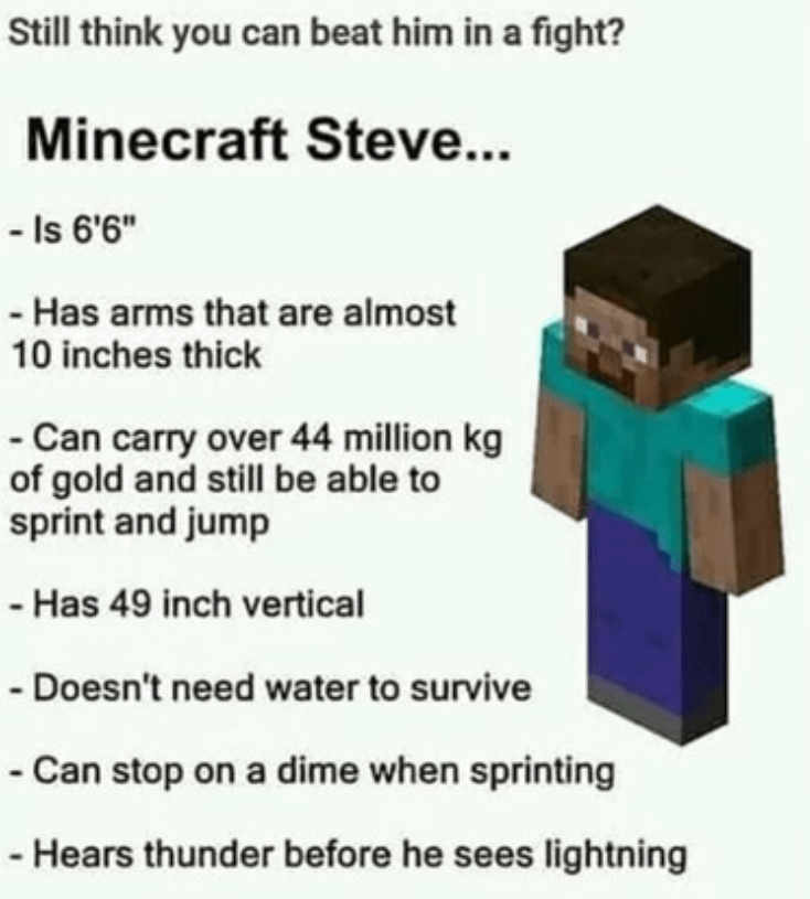 Minecraft Memes - "Think you can take on [STEVE]?"