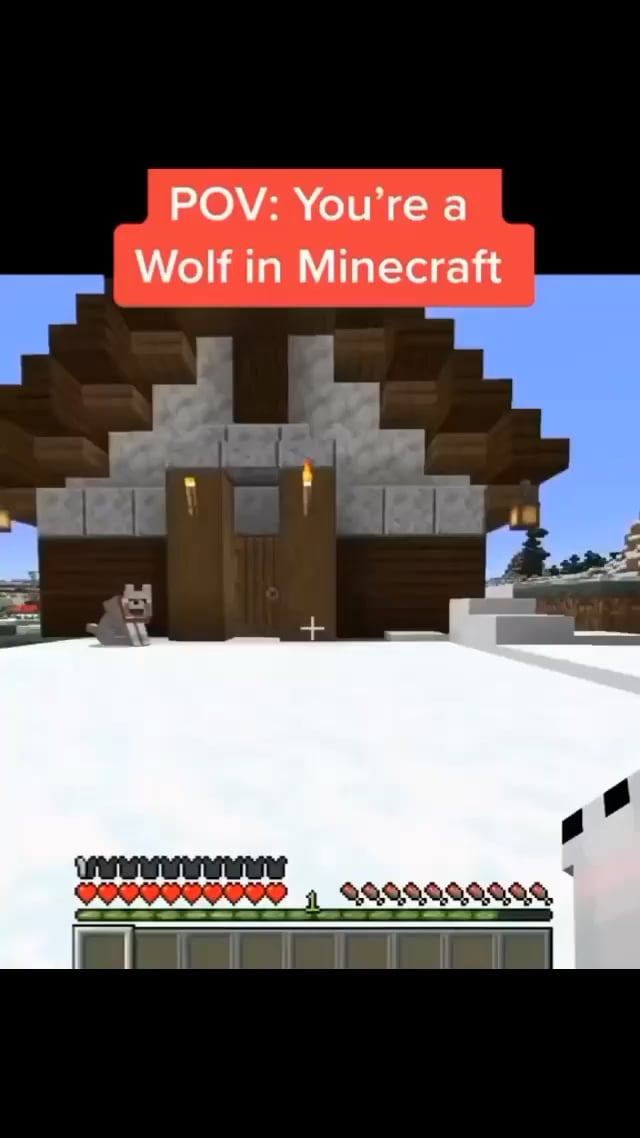 Minecraft Memes - "Wolf armor? Mojang, get on it!"
