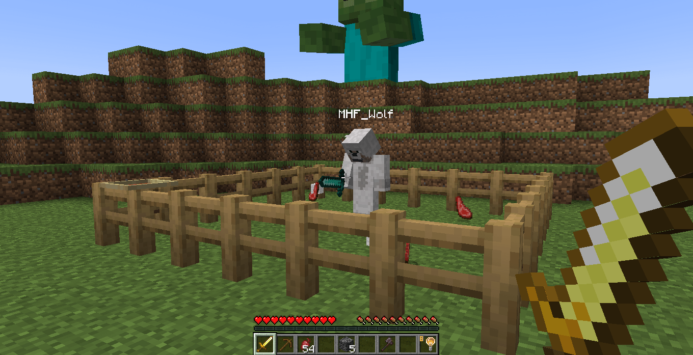Minecraft Memes - Wolves breaking fences? What sorcery is this?