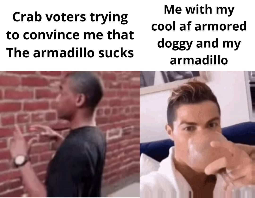 Minecraft Memes - Armadillo loving meme