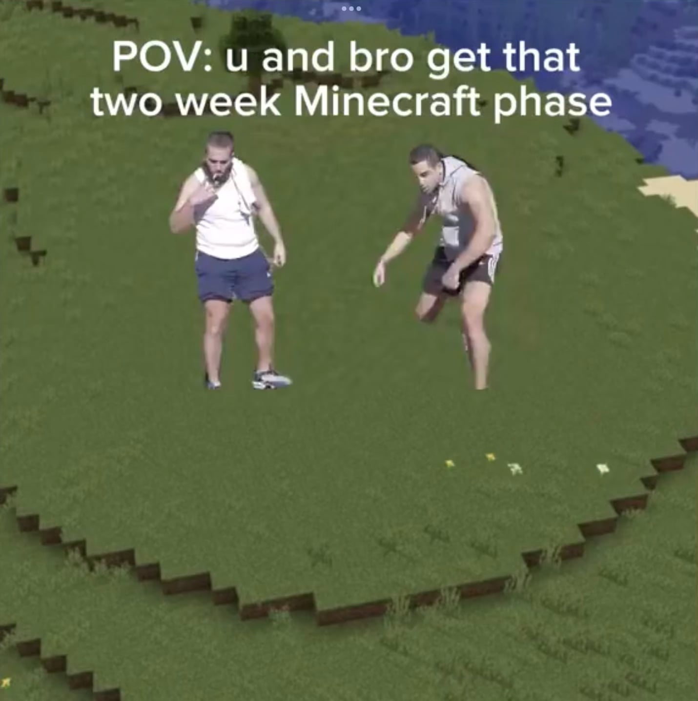 Minecraft Memes - "Bois being bois: Minecraft edition"
