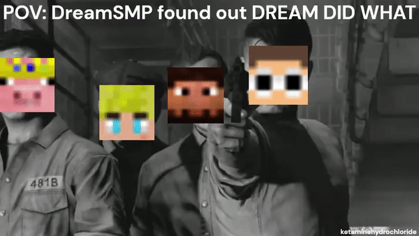 Minecraft Memes - DREAM DID WHAT?! (GIF)