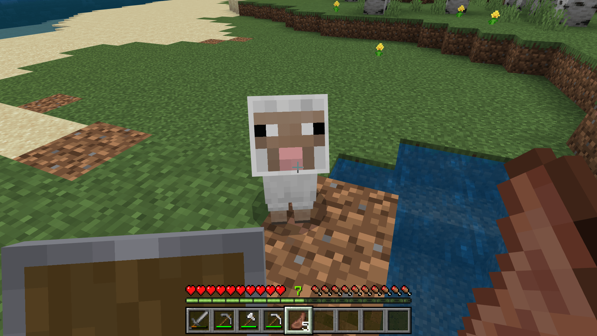 Minecraft Memes - "Does the sheep even know?"