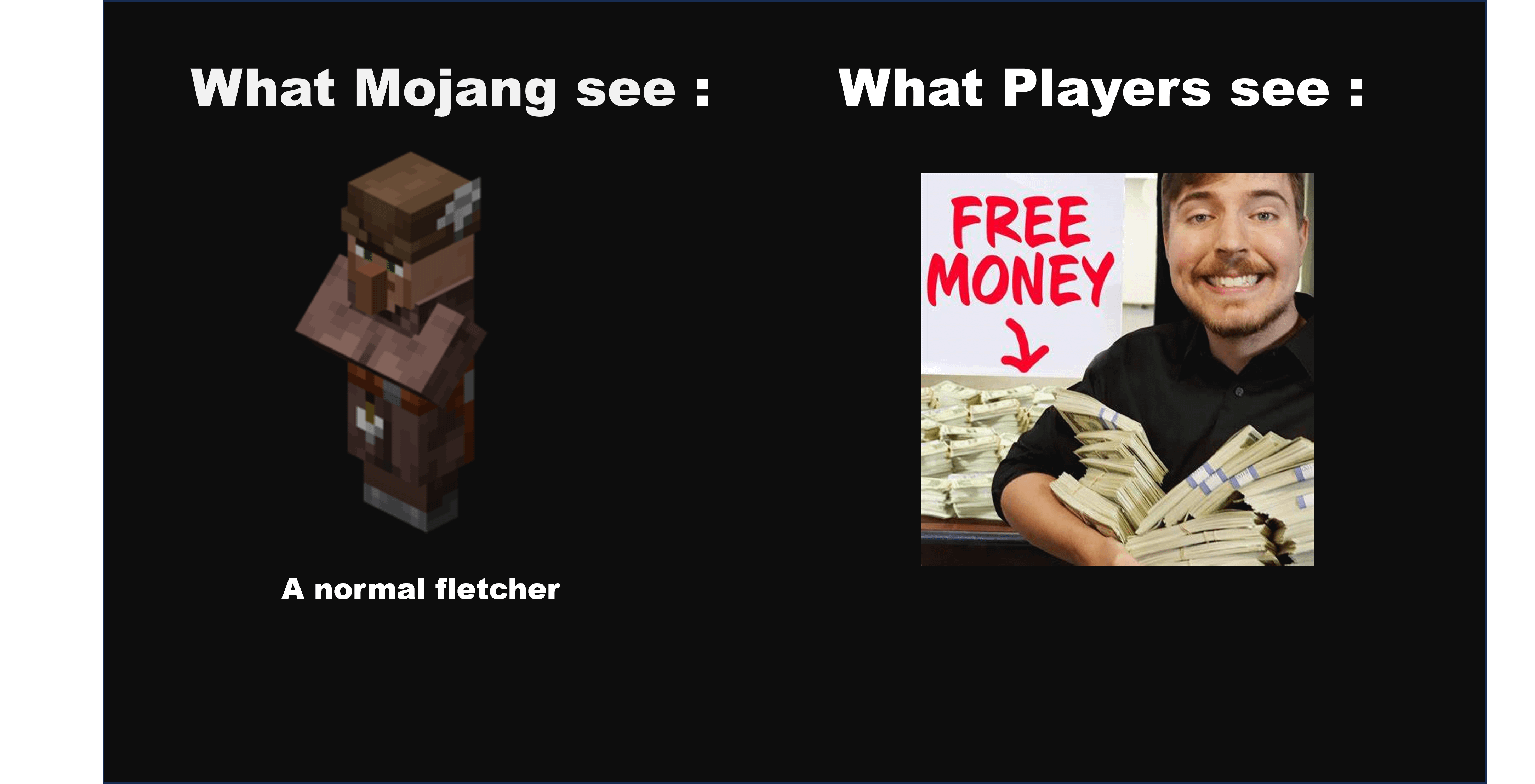 Minecraft Memes - Fletcher: MrBeast 2.0