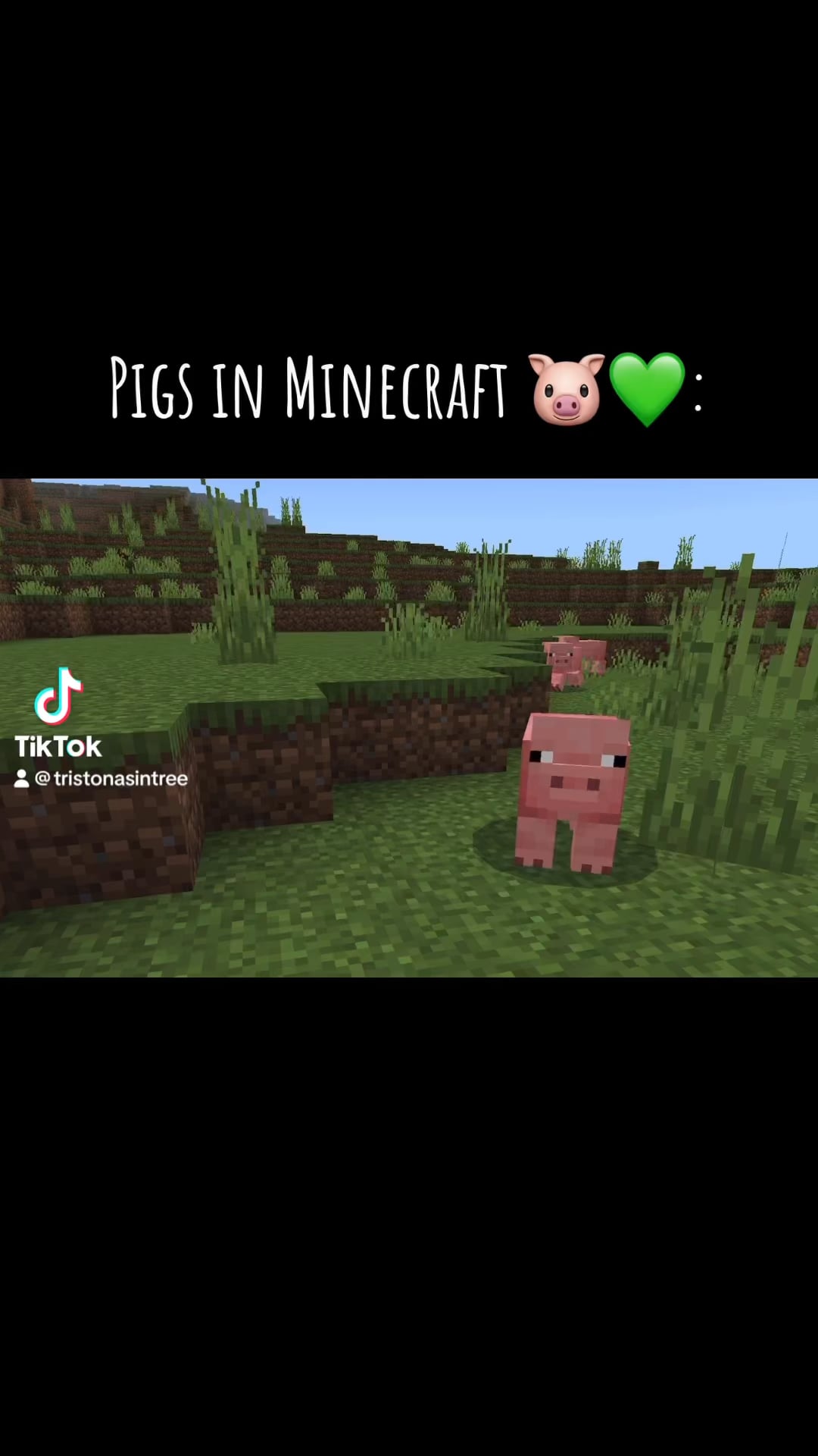 Minecraft Memes - "Meat Mania"
