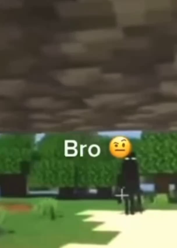 Minecraft Memes - "Minecraft Bros, What's up bro?"