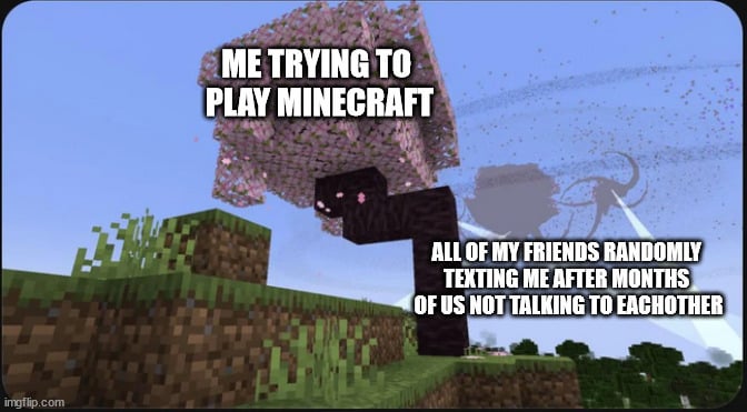 Minecraft Memes - Nope, don't have friends!