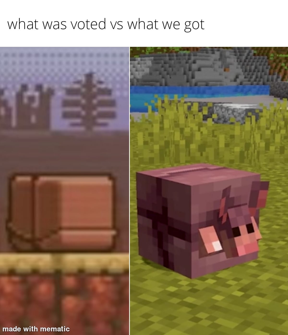 Minecraft Memes - "Not the crab I wanted, but okay"